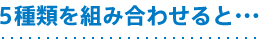 5種類を組み合わせると・・・